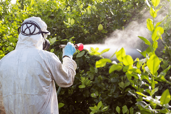 il Disinfestatore