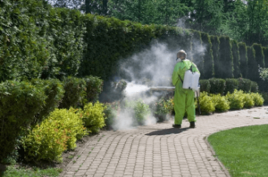 disinfestazione dengue